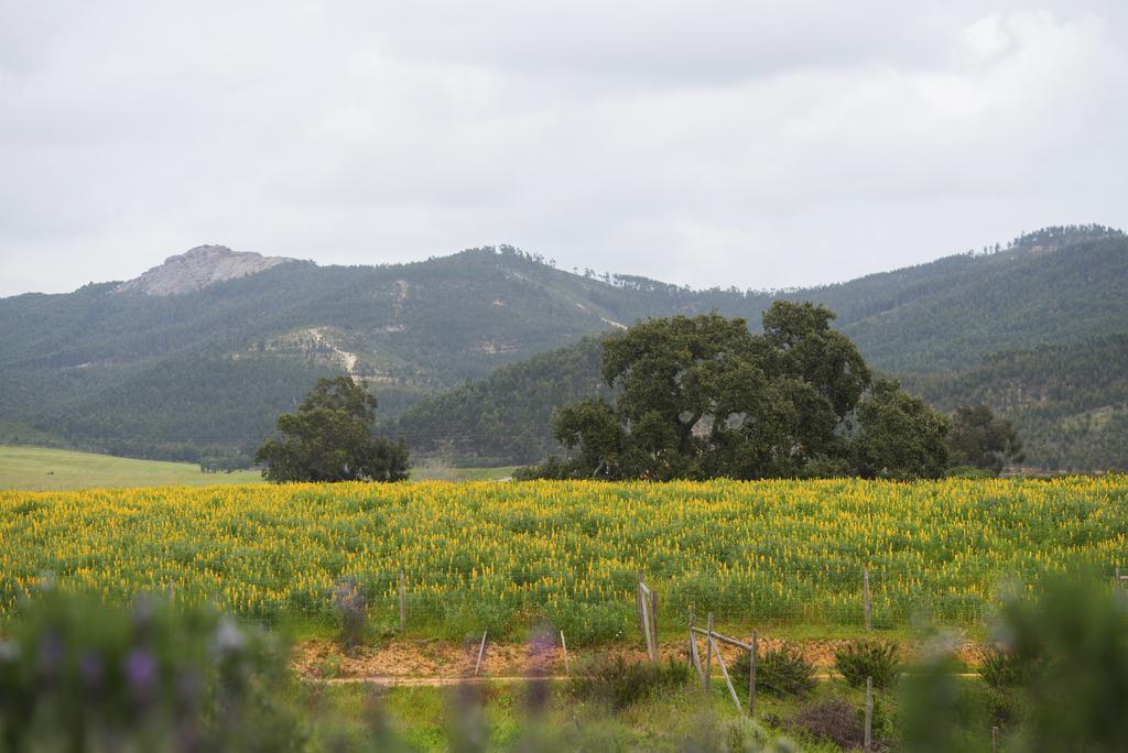 Herdade Do Amarelo Nature & Spa Vila Nova de Milfontes Eksteriør billede