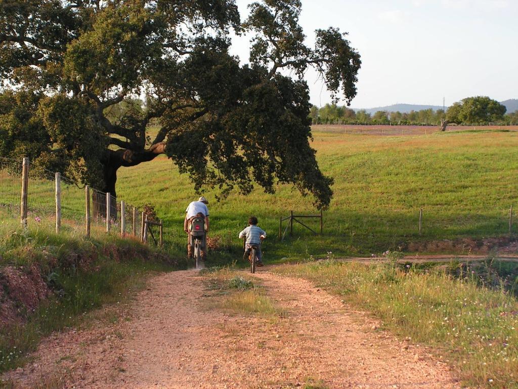 Herdade Do Amarelo Nature & Spa Vila Nova de Milfontes Eksteriør billede