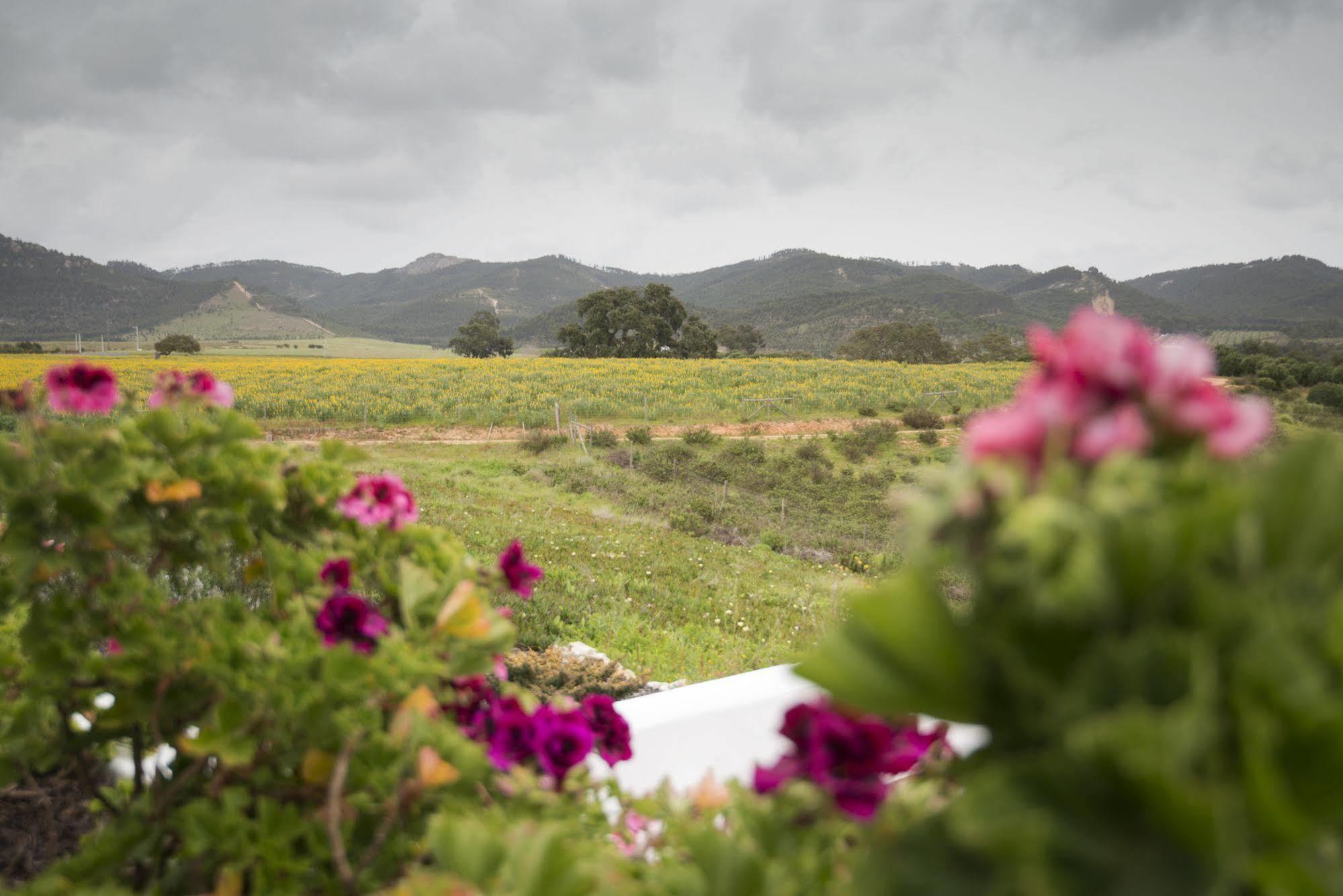 Herdade Do Amarelo Nature & Spa Vila Nova de Milfontes Eksteriør billede